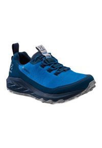 Buty trekkingowe Haglöfs L.I.M FH GTX Low. Kolor: niebieski. Sport: turystyka piesza #1