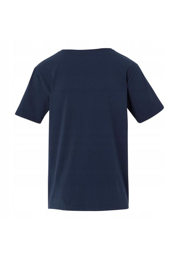Regatta - T-shirt Męski Dewi. Kolor: niebieski. Sport: turystyka piesza