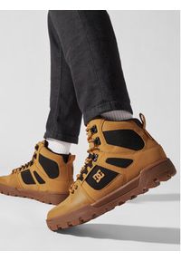 DC Shoes Sneakersy Pure Ht Wr ADYB100018 Brązowy. Kolor: brązowy. Materiał: skóra