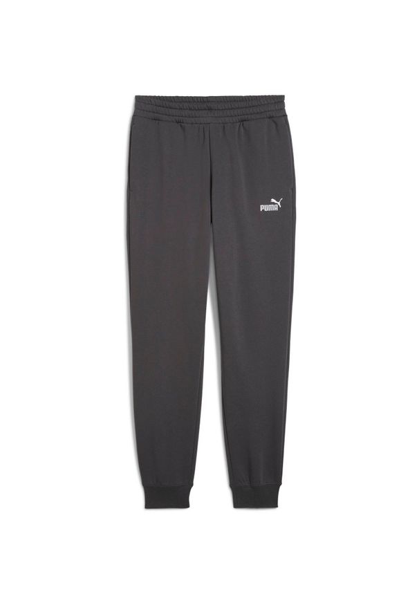 Spodnie Puma Ess No. 1 Logo Sweatpants Fl Cl S. Kolor: szary. Materiał: bawełna, materiał. Sport: fitness