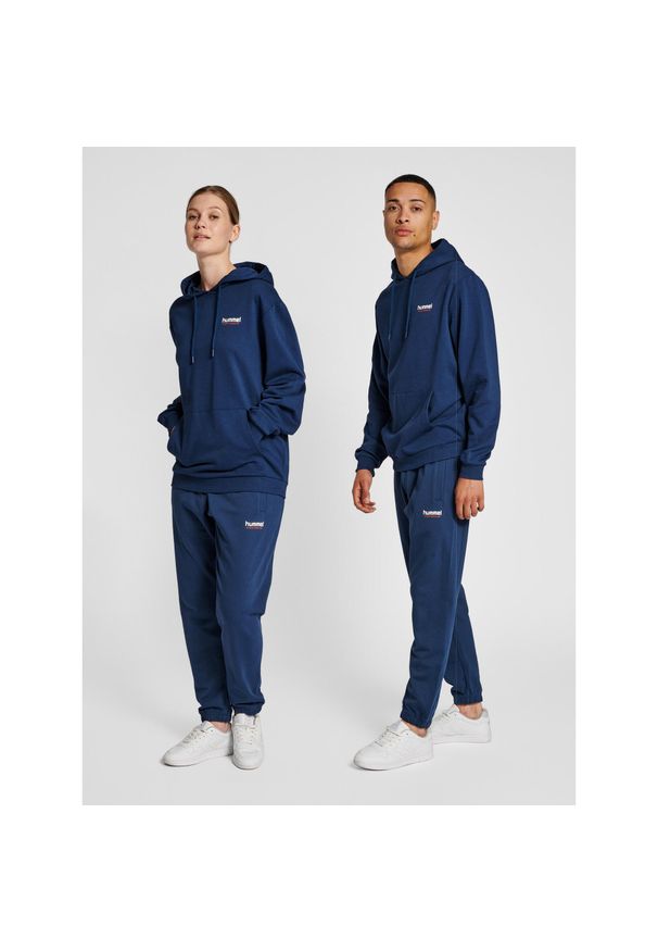 Bluza Hummel LGC Austin. Typ kołnierza: kaptur. Kolor: wielokolorowy, niebieski, zielony. Materiał: tkanina. Sport: fitness