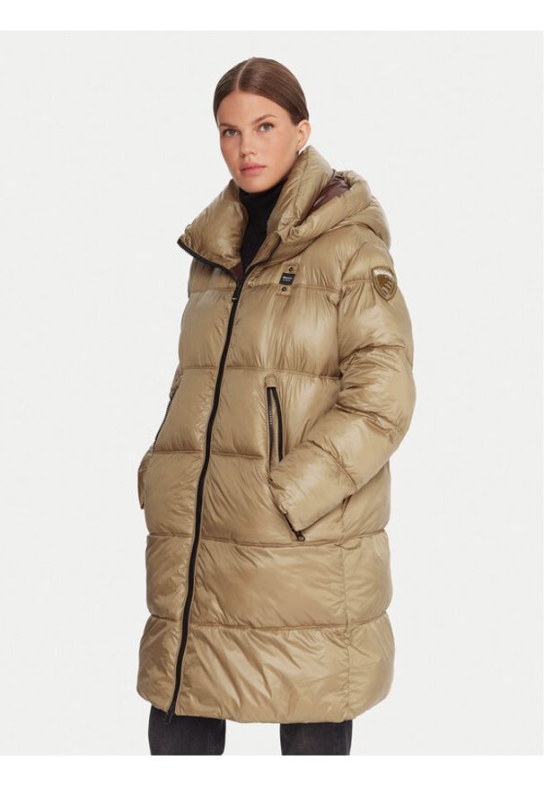 Blauer Płaszcz zimowy 25WBLDK02192 Brązowy Regular Fit. Kolor: brązowy. Materiał: syntetyk. Sezon: zima