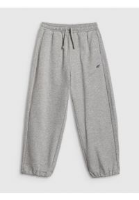 4f - 4F Spodnie dresowe z szerokimi nogawkami chłopięce - szare 158/164 (12-14 lat). Okazja: na spacer, na uczelnię, na co dzień. Kolor: szary. Materiał: dresówka. Sezon: lato. Styl: casual, klasyczny #1