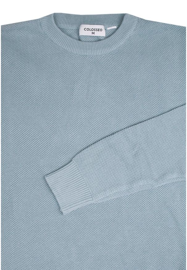 Męski Sweter z Dzianiny Bawełnianej - Colosseo - Zgaszony Błękit. Okazja: na co dzień, na spotkanie biznesowe. Kolor: niebieski. Materiał: bawełna. Styl: elegancki, biznesowy, casual