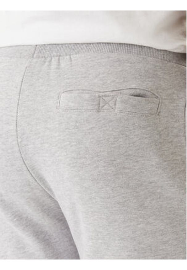 Nautica Spodnie dresowe Nampa N1T04063 Szary Regular Fit. Kolor: szary. Materiał: bawełna, syntetyk