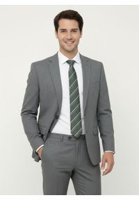 Klasyczny Krawat Klubowy - Alties - w Prążek, Stonowana Zieleń. Materiał: tkanina. Wzór: prążki. Styl: klasyczny #3