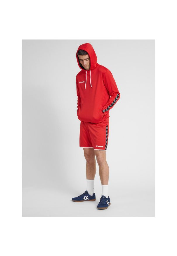 Bluza do piłki ręcznej męska Hummel hml AUTHENTIC Poly. Kolor: wielokolorowy, czerwony, różowy. Sport: fitness