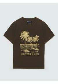 Big-Star - Koszulka męska z kontrastowym nadrukiem khaki Omer 303. Kolor: zielony. Materiał: materiał, bawełna, skóra, dzianina. Wzór: nadruk. Styl: militarny, elegancki, klasyczny, vintage #1