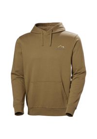 Bluza z kapturem Helly Hansen Massif Graphic. Typ kołnierza: kaptur. Kolor: beżowy, wielokolorowy, brązowy #1