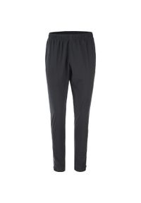 ENDURANCE - Spodnie treningowe Endurance Wislok. Kolor: czarny. Materiał: dresówka. Sezon: lato. Sport: fitness, turystyka piesza #1