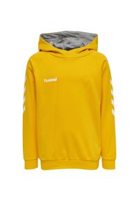 Dziecięca bluza z kapturem Hummel hmlGO cotton. Typ kołnierza: kaptur. Kolor: pomarańczowy, wielokolorowy, żółty. Sport: joga i pilates