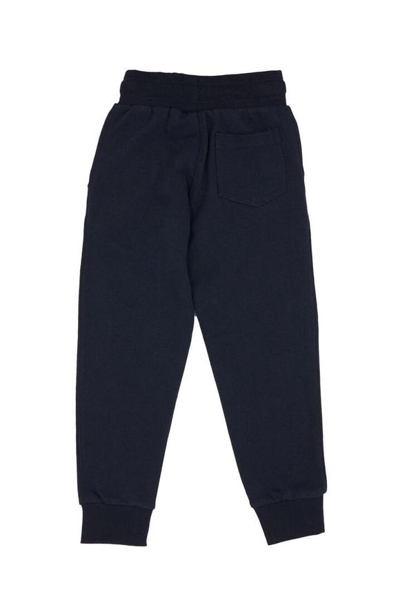 LEONE 1947 APPAREL - Dziecięce joggery basic z dużym logo. Kolor: niebieski. Sport: joga i pilates