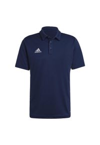 Koszulka polo do piłki nożnej męska Adidas Entrada 22 Polo z krótkim rękawem. Typ kołnierza: polo. Kolor: niebieski. Długość rękawa: krótki rękaw. Długość: krótkie