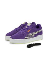Buty do chodzenia męskie Puma CA PRO HAUNTED WARM. Kolor: fioletowy. Sport: turystyka piesza #1