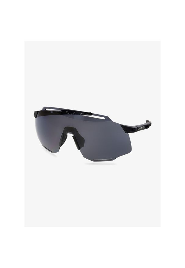 Okulary przeciwsłoneczne Dynafit Alpine Sunglasses - black out/nimbus. Kolor: czarny