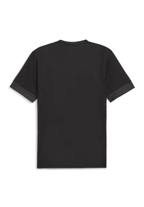 Koszulka Puma Teamgoal Matchday. Kolor: czarny. Sport: piłka nożna