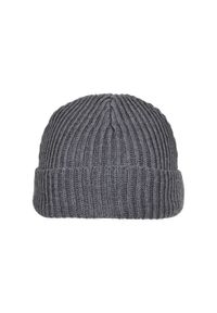 BUILD YOUR BRAND - Fisherman Recycled Yarn Beanie. Kolor: szary