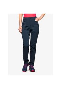 Fjällräven - Spodnie trekkingowe damskie Fjallraven Abisko Trail Stretch Trousers. Kolor: niebieski