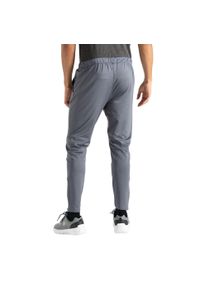 DARE 2B - Spodnie Do Joggingu Męskie Sprinted. Kolor: szary. Sport: bieganie
