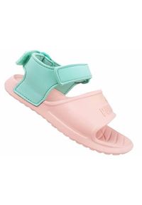 Buty do chodzenia niemowlęce Puma Divecat V2 Injex Inf. Zapięcie: rzepy. Kolor: różowy. Materiał: guma