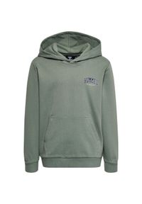 Bluza z kapturem dla dzieci Hummel Fast. Typ kołnierza: kaptur. Kolor: zielony