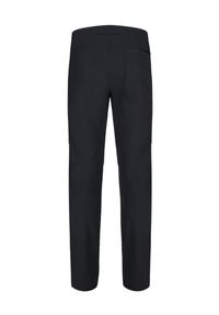 Spodnie tech. męskie Odlo Pants regular length ASCENT. Kolor: czarny