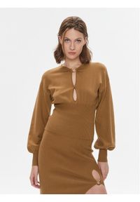 Pinko Sweter Chioccia 101848 A15S Brązowy Regular Fit. Kolor: brązowy. Materiał: wełna