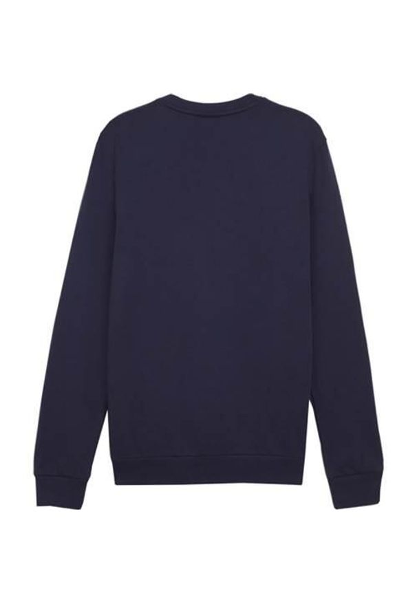 Bluza sportowa męska Puma B23616. Kolor: niebieski