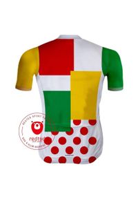 REDTED - Camisola de ciclismo retro - Camisola Tour de France - RedTed. Kolor: różowy. Materiał: poliester