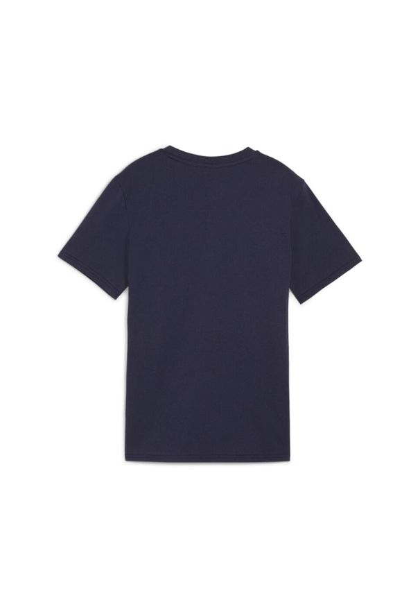 Koszulka dla dzieci Puma teamGOAL Casuals. Kolor: niebieski. Sport: piłka nożna