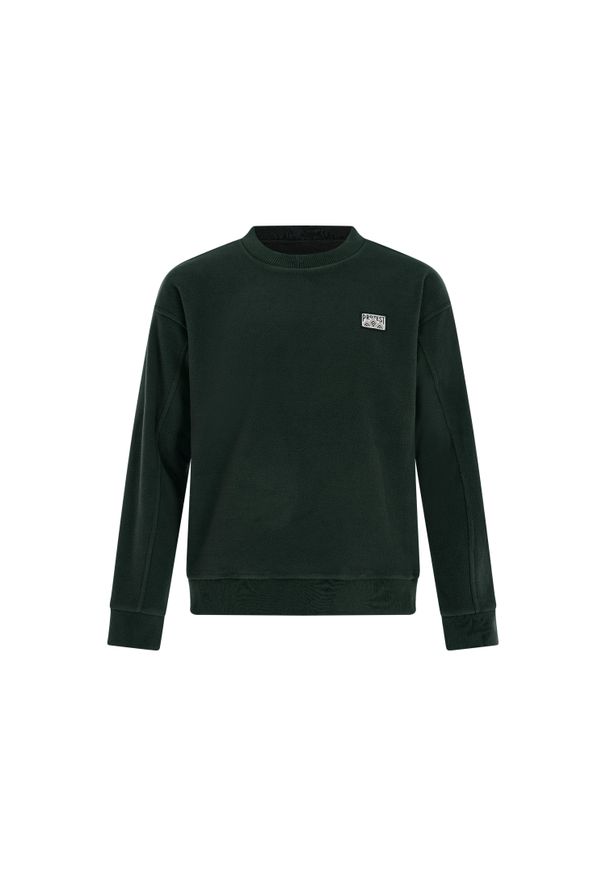 Bluza Protest Hawk. Kolor: zielony. Sezon: zima. Sport: narciarstwo