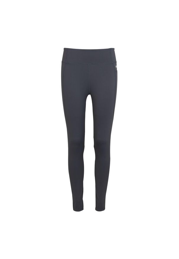 Regatta - Legginsy damskie Holeen Pro Compression. Kolor: szary. Materiał: jersey. Sport: turystyka piesza, fitness, joga i pilates