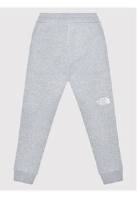 The North Face Spodnie dresowe NF0A2WAI Szary Regular Fit. Kolor: szary. Materiał: bawełna