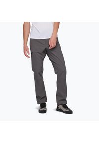 Spodnie softshell męskie Black Diamond Alpine. Kolor: szary. Materiał: softshell. Sezon: lato. Sport: turystyka piesza #1