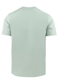 Męska Koszulka (T-Shirt) - Pako Jeans -Jasna Mięta, Górski Nadruk. Okazja: na co dzień. Materiał: bawełna. Wzór: nadruk. Styl: casual #5