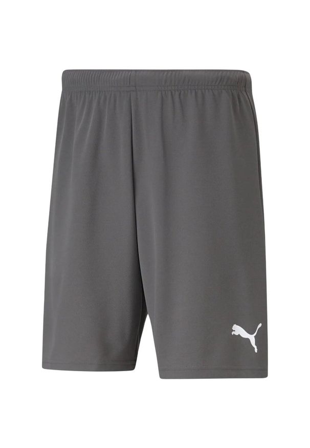 Puma - Męskie Spodenki Dresowe TeamRISE. Kolor: szary. Materiał: dresówka. Sport: turystyka piesza