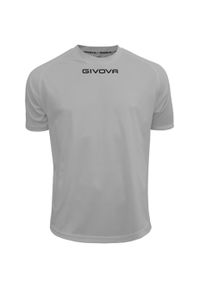 Koszulka piłkarska dla dorosłych Givova One. Kolor: szary. Sport: piłka nożna