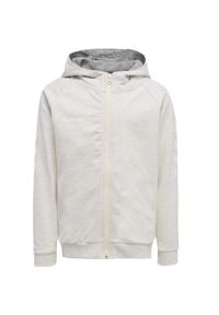 Bluza do piłki ręcznej damska Hummel hmlGO Zip z kapturem. Typ kołnierza: kaptur. Kolor: wielokolorowy, szary, beżowy. Sezon: zima, jesień. Sport: piłka ręczna #1