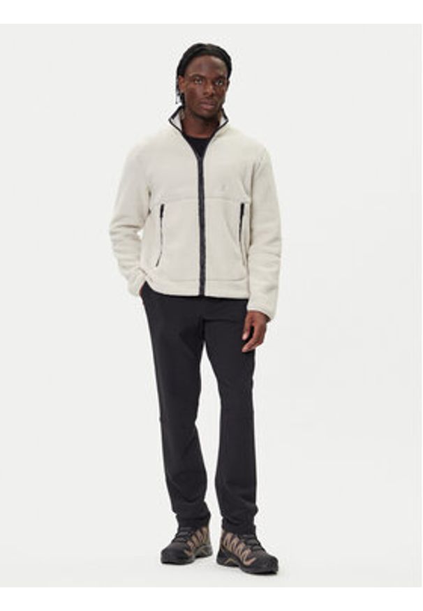 Jack Wolfskin Polar Stone Lite A64997 Beżowy Relaxed Fit. Kolor: beżowy. Materiał: syntetyk