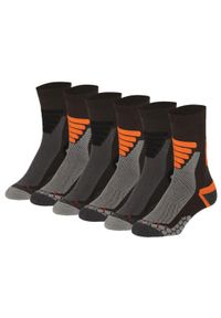 XTREME SOCKSWEAR - Skarpety turystyczne Xtreme 6-pack Multi zielony. Kolor: zielony. Sport: turystyka piesza