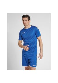 Jersey Hummel hmlAUTHENTIC Poly HML. Kolor: niebieski. Materiał: jersey. Sport: fitness