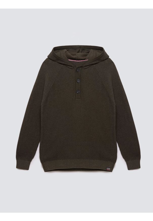 Big-Star - Sweter męski z kapturem khaki Carlson 303. Okazja: na co dzień, na spacer. Typ kołnierza: kaptur. Kolor: zielony. Materiał: jeans, bawełna, dzianina, materiał. Wzór: ze splotem, aplikacja. Styl: vintage, casual