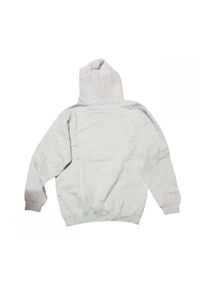 Bluza sportowa męska Mitchell & Ness HDSSINTL1052GBPGREY. Typ kołnierza: kaptur. Kolor: szary