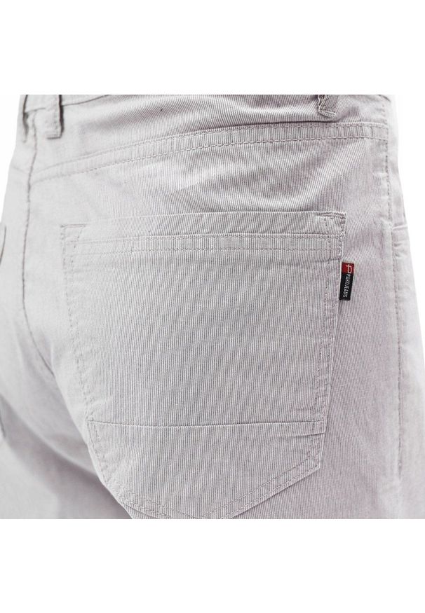 Lekkie, Bawełniane Szorty (Krótkie Spodenki) - Pako Jeans - Popiel w Prążek. Materiał: bawełna, elastan. Długość: krótkie. Wzór: prążki. Sezon: lato. Styl: klasyczny