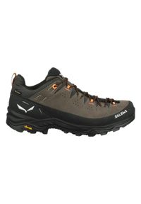 Buty Trekkingowe Męskie Salewa Alp Trainer 2 Gtx. Kolor: wielokolorowy, brązowy. Materiał: zamsz, materiał, syntetyk