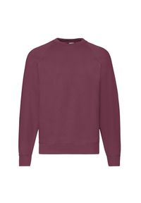 FRUIT OF THE LOOM - Męska Klasyczna Bluza Raglanowa. Kolor: czerwony, wielokolorowy, brązowy. Długość rękawa: raglanowy rękaw