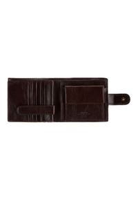 Wittchen - Męski portfel skórzany zapinany ciemny brąz. Kolor: brązowy. Materiał: skóra #3