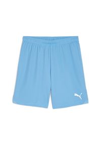 Szorty Puma TeamGloal. Kolor: niebieski, wielokolorowy, biały. Materiał: materiał. Sport: piłka nożna #1