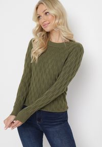 Born2be - Zielony Klasyczny Sweter z Tłoczonym Zdobieniem Nainea. Okazja: na co dzień. Kolor: zielony. Wzór: aplikacja. Styl: klasyczny #3