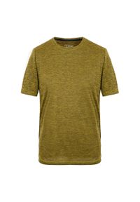 Koszulka Regatta Fingal Edition Marl. Kolor: zielony. Sport: turystyka piesza #1